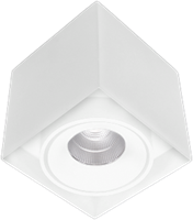 Pragmalux LED Opbouwspot Kaja 1V 11W 3000K CRI>93 38 700lm 100x100 Buitenmaat - Hoogte 100 Wit - Dimbaar
