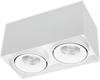 Pragmalux LED Opbouwspot Kaja 2V 2x11W 2700K CRI>93 38 2x660lm 200x100 Buitenmaat - Hoogte 100 Wit - Dimbaar