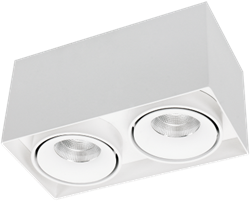Pragmalux LED Opbouwspot Kaja 2V 2x11W 3000K CRI>93 38 2x700lm 200x100 Buitenmaat - Hoogte 100 Wit - Dimbaar