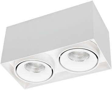 Pragmalux LED Opbouwspot Kaja 2V 2x11W 4000K CRI>93 38 2x850lm 200x100 Buitenmaat - Hoogte 100 Wit - Dimbaar