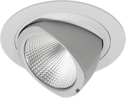 Pragmalux LED Richtspot Adjusto 20W 3000K CRI>90 36D 2056lm 168 Buitenmaat - Gatmaat 154 Grijs