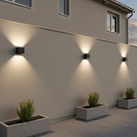 Pragmalux LED Wandarmatuur Blocq Up/Down IP65 2x3W 360lm 2700-3000-4000K 3CCT CRI>90 instelbare lichtbundel 0-120° zwart - fase dimbaar-6