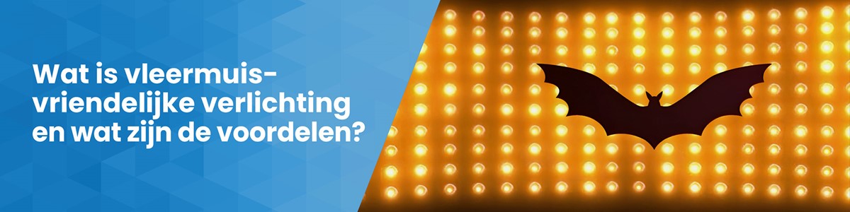 Wat is vleermuisvriendelijke verlichting?