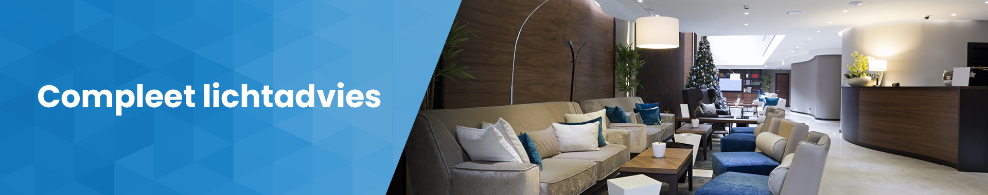 Distri2024 - CMS - Basis Banner Lichtadvies 45