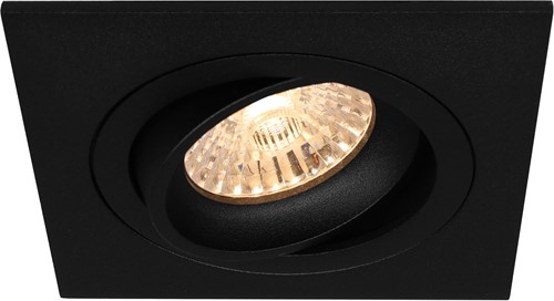Pragmalux Inbouwspot met bladveren Boxy Vierkant Kantelbaar zwart RAL9004 - Incl. GU10 Fitting-1