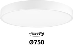 Pragmalux LED Opbouw-/pendelarmatuur Moon IP44 Ø750mm Opaal direct/indirect 56-84W 6600-10400lm 3CCT 3000-3500-4000K CRI90 Wit - DALI