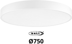 Pragmalux LED Opbouw-/pendelarmatuur Moon IP44 Ø750mm Prisma direct/indirect 56-84W 6600-10400lm 3CCT 3000-3500-4000K CRI90 Wit - DALI
