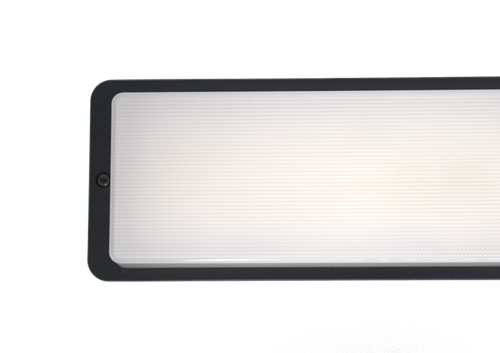 Pragmalux LED Portiek Port-M PKVW IP66 IK10 2,75-5W 295-570lm 3000K-4000K 2-CCT DALI noodverlichting 1H autotest-5