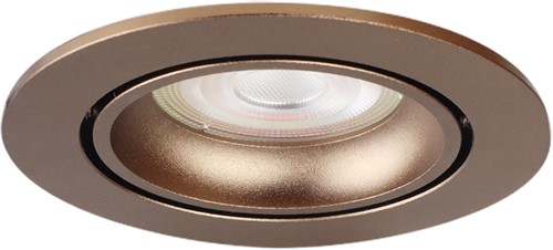 Pragmalux Inbouwspot met bladveren Delta Rond Kantelbaar Bronze RAL8000 - Incl. GU10 Fitting-1
