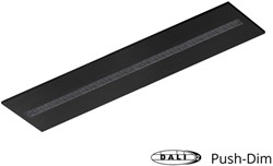 Pragmalux LED Paneel Optic transparant reflector 30x120cm 36W 4400-4800lm 3000K-3500K-4000K 3CCT CRI>90 UGR<16 zwart RAL9005 + Philips DALI driver