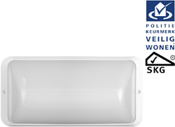 Pragmalux LED Portiek Port-S Frame Wit RAL9003