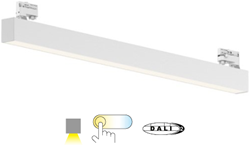 Pragmalux Skyline 1,5m DALI2 12,5-44W 1750-6400lm 2CCT 3000-4000K opaal wit RAL9016 met track adaptor