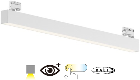 Pragmalux Skyline 1,2m DALI2 12,5-36W 1700-5050lm 2CCT 3000-4000K prisma wit RAL9016 met track adaptor