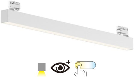 Pragmalux Skyline 1,2m 12,5-36W 1700-5050lm 2CCT 3000-4000K prisma wit RAL9016 met track adaptor
