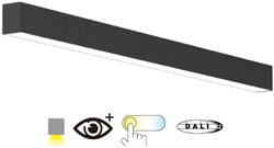 Pragmalux Skyline 1,2m DALI2 12,5-36W 1500-4550lm 2CCT 3000-4000K prisma zwart RAL9005