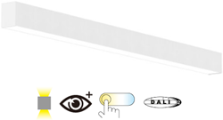 Pragmalux Skyline 1,2m DALI2 12,5-36W 1700-5050lm 2CCT 3000-4000K met uplight 9W 1300lm prisma wit RAL9016