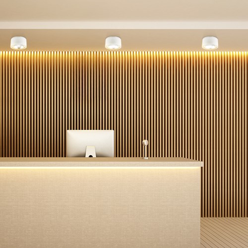 Pragmalux LED opbouw downlight Relio IP65 facet reflector wit 20W 1800-2000lm 2700K-3000K-4000K 3-CCT CRI>90 UGR<19 60D Ø160x110mm-5