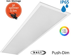 Pragmalux LED Paneel 30x120cm Sigma G2 IP65 CRI>90 37W 3000K-4000K 2-CCT 4950-5000lm UGR<19 +TCI DALI Driver incl. 3P Aansluitsnoer en splitter en trekontlasting, 1 in 2 uit(2x28W/2x36W)
