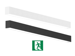 LED Skyline incl. Noodverlichtingunit (decentraal)